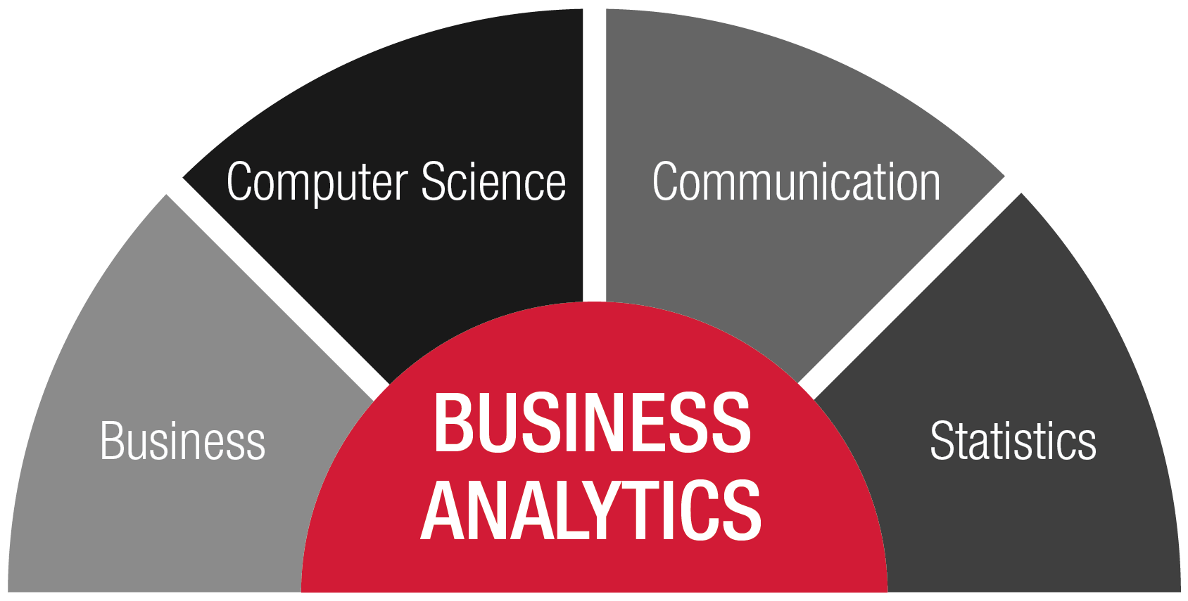 Should I Major In Business Analytics Lasopaoccupy